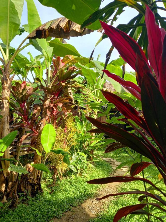 Banana Grove El Nido Hotel Ngoại thất bức ảnh