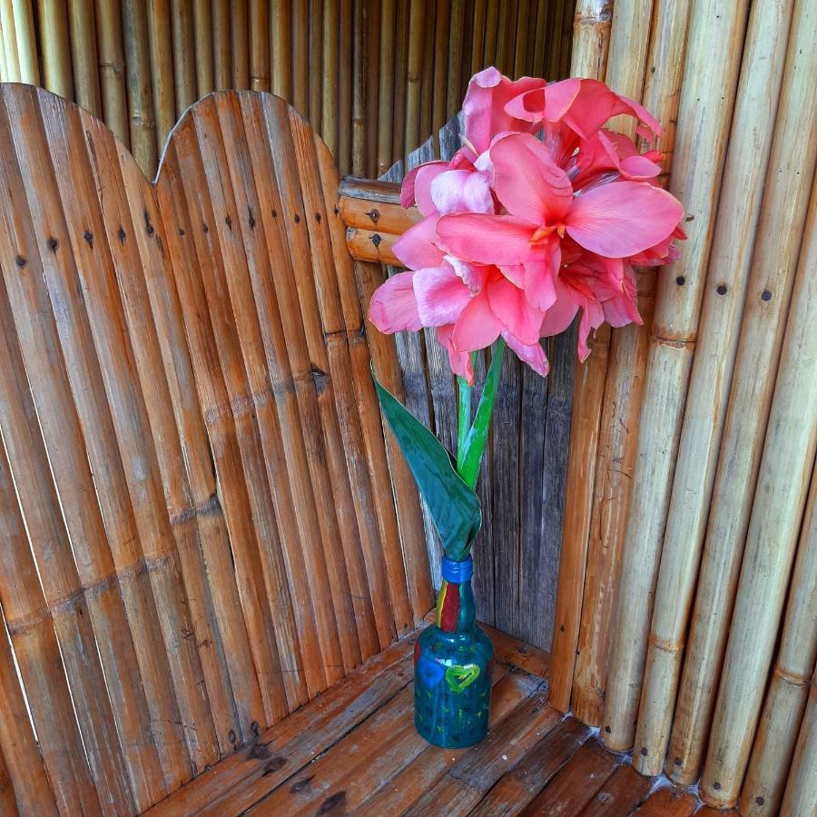 Banana Grove El Nido Hotel Ngoại thất bức ảnh