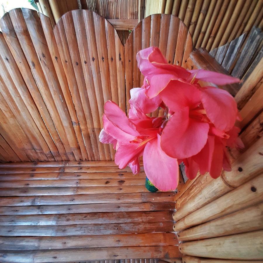 Banana Grove El Nido Hotel Ngoại thất bức ảnh
