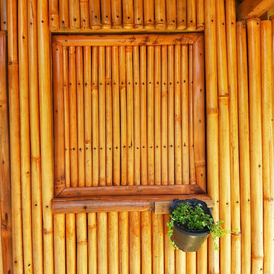 Banana Grove El Nido Hotel Ngoại thất bức ảnh
